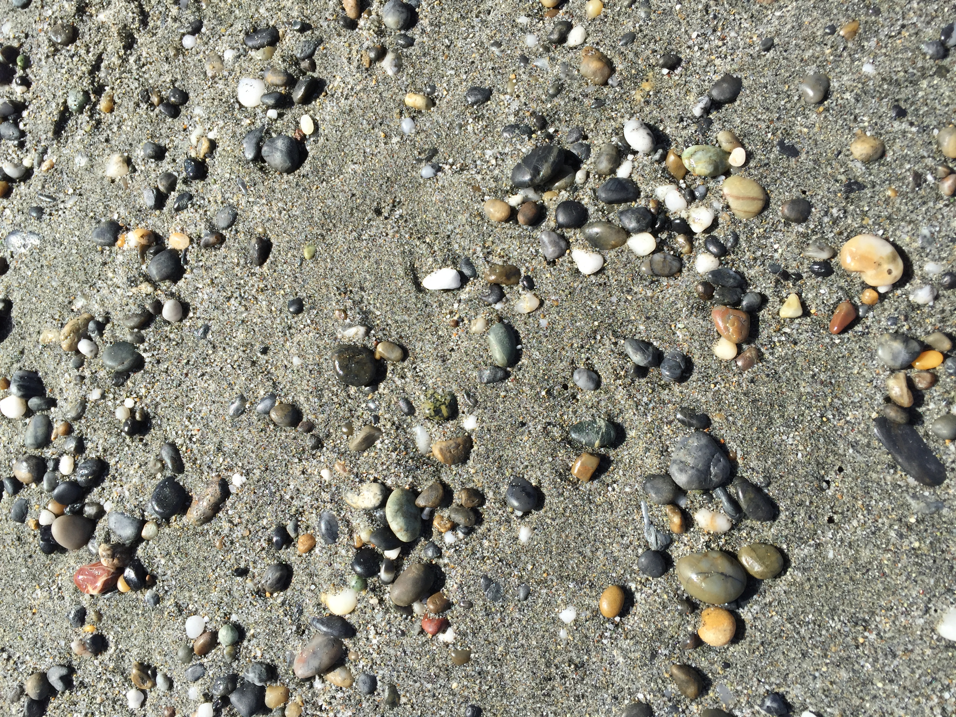 Hunting For Agates On The Beach Cladach Publishing